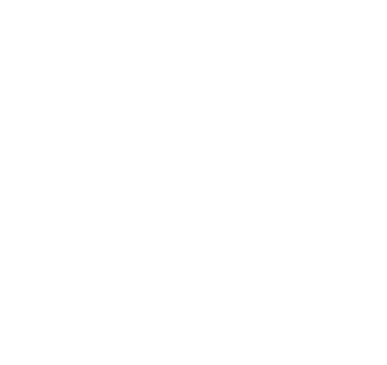Telefon icon